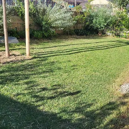 Rez-de-jardin 