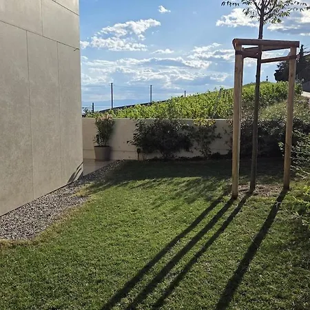 Rez-de-jardin Vignes Et Cully