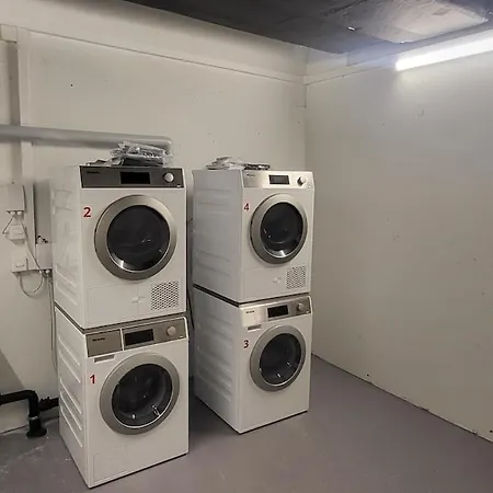 Rez-de-jardin 
